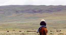 Your Guide to a Luxury Ranch Retreat in Montana