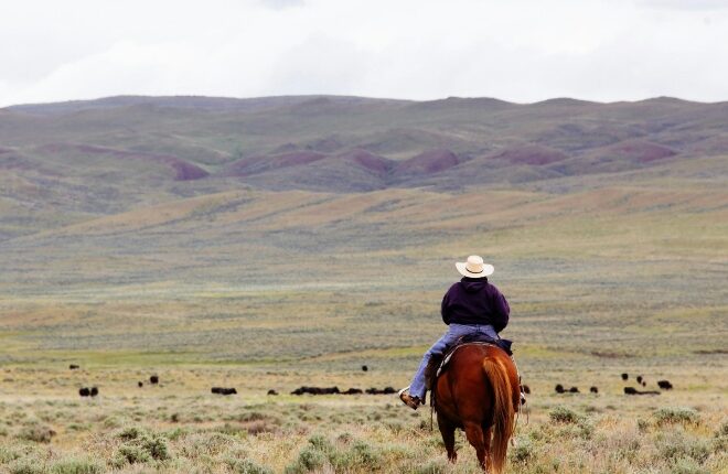 Your Guide to a Luxury Ranch Retreat in Montana