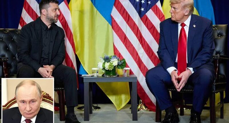 Ukrainian President Volodymyr Zelensky has arrived at the White House to urge President Trump to arm Ukraine with long-range weapons that would signal a new escalation in the ongoing war with Russia. The two world leaders standing together shoulder to shoulder Friday afternoon with soft smiles as reporters shouted questions.