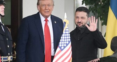 President Donald Trump (left) greets Ukrainian President Volodymyr Zelensky (right) outside the West Wing in August - the second meeting the president had with Zelensky of his second term