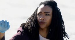 ‘Blue Bloods’ New Spin-Off Has the Perfect Opportunity to Bring Back More Reagans, According to Star Sonequa Martin-Green