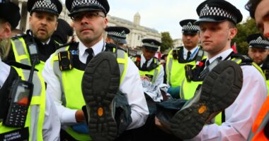 ‘Enough is enough’ says chief of police federation as ‘exhausted’ officers arrest 492 at Palestine Action protest