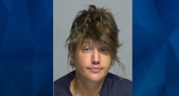 ‘I’m not suprised’: Wisconsin Daughter Accused of Fatally Bashing Mother’s Head with a Rock 