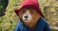 ‘People aren’t ready for it’: How Paddington the Musical took the world’s favourite bear and put him on stage