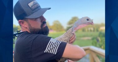 ‘The system failed’: Arkansas Dad Running for Sheriff After Charged with Murdering 14-Year-Old Daughter’s Rapist