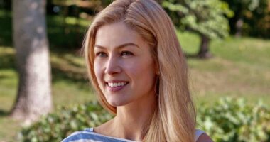 15 Best Thriller Movies Like 'Gone Girl,' Ranked