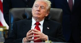 President Donald Trump has vowed to give a $2,000 check to every American, thanks to the tariff revenue his administration has collected