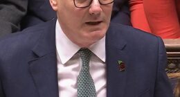 Allies of Keir Starmer warned Labour plotters could trigger a general election if they oust him