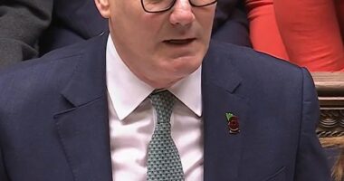 Allies of Keir Starmer warned Labour plotters could trigger a general election if they oust him