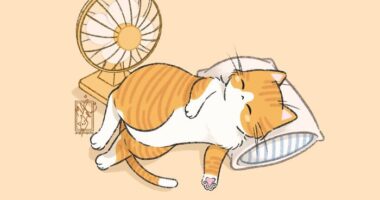 20 Cat Drawings By Mj.Majcha That Are Probably One Of The Cutest Things On The Internet