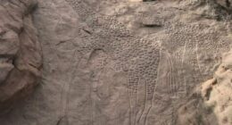 50 Fascinating Archeological Finds We Are Lucky Enough To Witness, As Shared On This FB Group