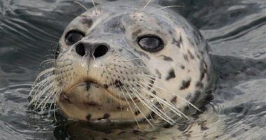 50-Year Mortgages Are a Horrific Idea – HotAir