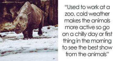 55 People Who Have Worked in A Zoo Share Things That Non-Employees Might Not Know