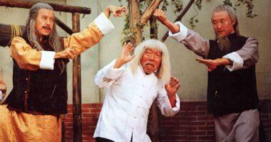 6 Old-School Kung Fu Movies You Should Watch Just For The Villain