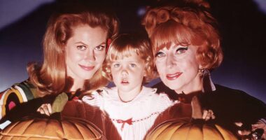 61 Years Later, Beloved Sitcom Fantasy Series Gets Remake at Fox