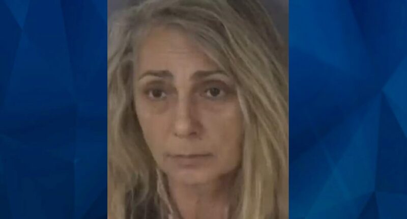 8-Year-Old Florida Girl Stabs Estranged Grandmother While Protecting Mother from Attack