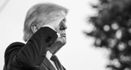 A Brief History of Veterans Day—A Uniquely American Holiday.