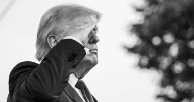 A Brief History of Veterans Day—A Uniquely American Holiday.