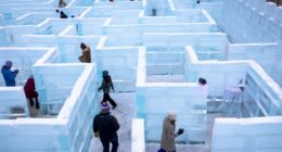 A stock market that could only go up now seems to need direction