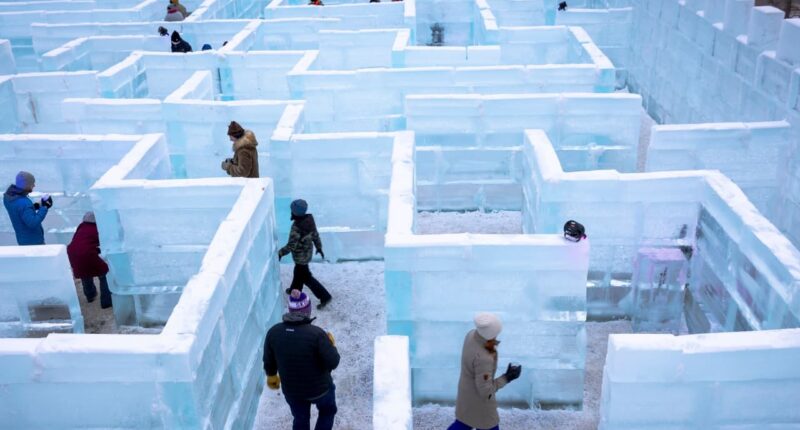 A stock market that could only go up now seems to need direction