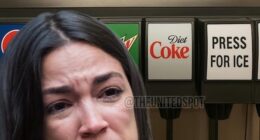 AWFL Convinced That She Can Break the Law Because 'I'm Just a Mom' – HotAir