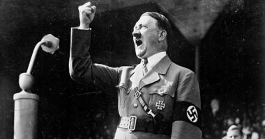 Hitler¿s body was destroyed, however, remnants of his blood remained, meaning that 80 years after the end of the war, it can now be analysed