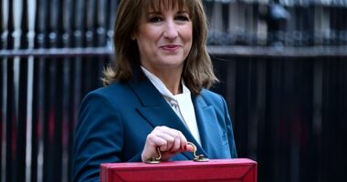 Average household energy bills will fall by £150 a year from April, Rachel Reeves said yesterday ¿ but she will heap some costs on to the taxpayer. Pictured: Ms Reeves, pictured on Budget day