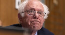 After Electoral Wins, Left-Wing Senators Want to Keep the Government Shutdown Going – HotAir