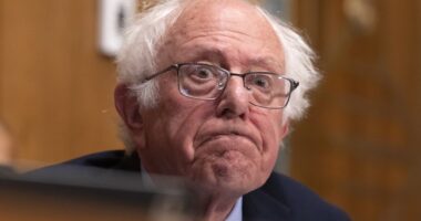 After Electoral Wins, Left-Wing Senators Want to Keep the Government Shutdown Going – HotAir