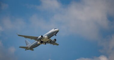 Airbus recalls ‘significant number’ of planes. Here’s how airlines say it will impact holiday weekend travel.