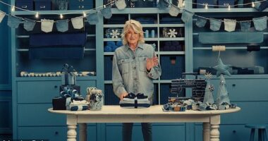 Martha Stewart , 84, appears to have been tapped as the new face of American Eagle as it attempts to move away from their controversy with actress Sydney Sweeney