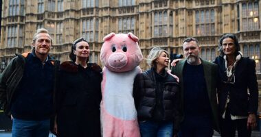 Farms not Factories has the support of many high profile celebrities. Pictured from left to right at one of its demonstrations: Jerome Flynn, Gizzi Erskine, Leslie Ash, Ciaran McMenamin and  Tracy Worcester
