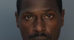 Brown's latest mugshot following the 37-year-old's arrest on an attempted murder charge