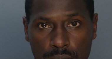 Brown's latest mugshot following the 37-year-old's arrest on an attempted murder charge