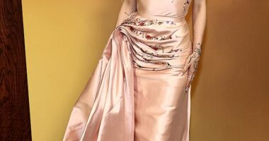 Ariana Grande looked stunning on Sunday night as she attended the 16th Governors Awards in Los Angeles