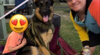 Nathan McKeown has been arrested over the death of his German shepherd, Arnie, who was reportedly stolen earlier this month