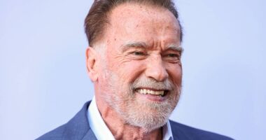 Arnold Schwarzenegger's 40-Year-Old Action Movie That Was Censored in the UK Is a Streaming Hit