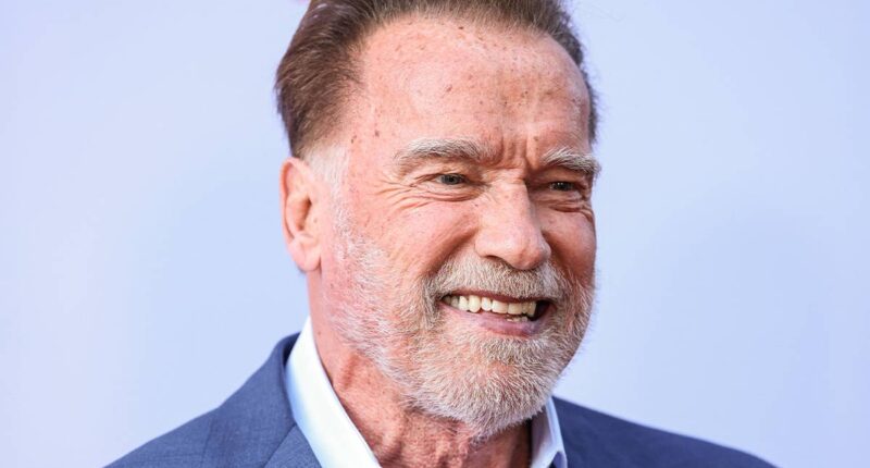 Arnold Schwarzenegger's 40-Year-Old Action Movie That Was Censored in the UK Is a Streaming Hit