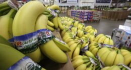 Bananas, Coffee and Affordability – HotAir