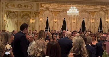 Barron Trump sent guests wild last night when he walked into Thanksgiving dinner dress in a sharp suit and tie alongside his father Donald and mother Melania at the president's Mar¿a¿Lago Club