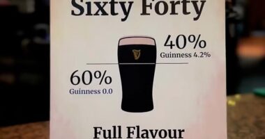 The Palmerstown House in Dublin has introduced a new '60/50' pint of Guinness, which is described as being 'just a little lighter' than a normal alcoholic Guinness