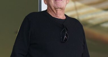 Bournemouth owner Bill Foley's Black Knight Group have backed away from their Hibs link