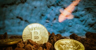 Bitcoin ETF posts record outflow amid crypto bear market