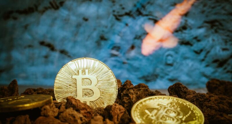 Bitcoin ETF posts record outflow amid crypto bear market