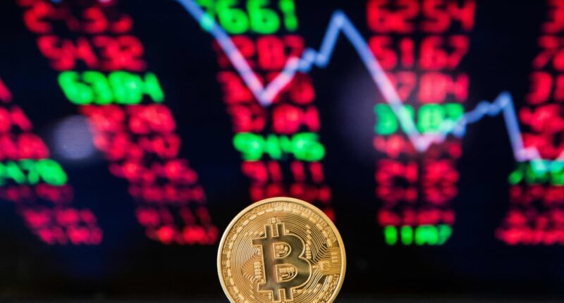 Bitcoin isn’t dead — it’s having an IPO moment. Here’s when the selling will stop.