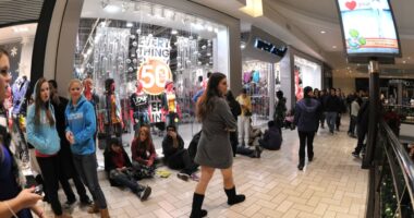 Black Friday doesn’t guarantee lower prices, as tariffs have led some stores to raise them