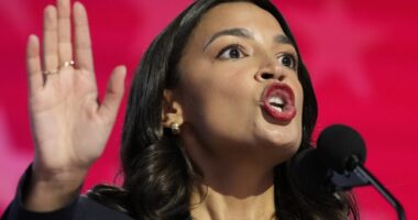 Bluesky Completely Melts Down Over Shutdown Deal, As Democrat Civil War Kicks Off – RedState