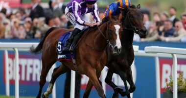 Breeders’ Cup Betting Tips: Predictions & Odds for Saturday