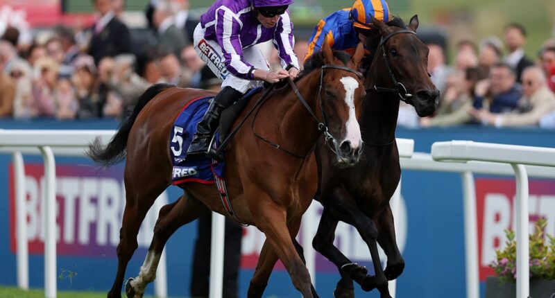 Breeders’ Cup Betting Tips: Predictions & Odds for Saturday