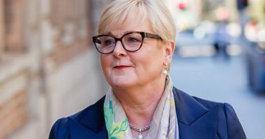 Former Senator Linda Reynolds (above) has escalated her bankruptcy claim against Higgins